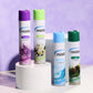 MISTA AIR FRESHENER PINE 300ML